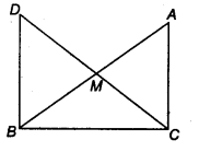 NCERT Solutions for Class 9 Maths Chapter 5 Triangles 5.1 8